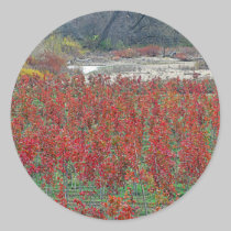 Falls Last Colors Sticker