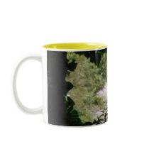 FALLS mugs