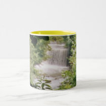 FALLS mugs