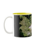 FALLS mugs
