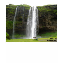Falls t-shirts