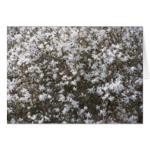 Falsas tarjetas anaranjadas del flor