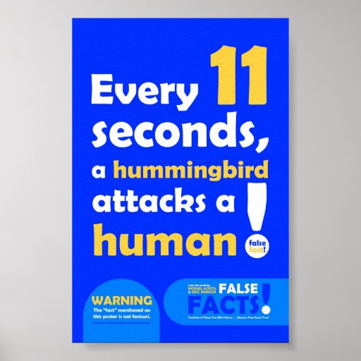 FALSE FACT Hummingbird Poster