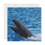 False Killer Whale Invitations