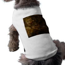 False Queen pet clothing by thedustyphoenix False Queen pet clothing