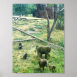 Familia Poster
