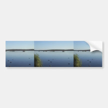 Families Of Ducks Swimming In The Lake Of Joondalu Bumper Sticker