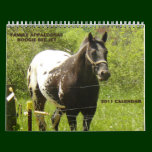 Family Appaloosas 2011 calendars
