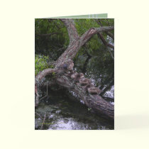 Family at Rest cards by MoiraAshleigh Family at Rest cards