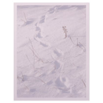Family Christmas Letterhead by farmer77 Family Christmas Letterhead