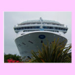 Family Cruise Postcard postcards