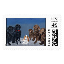 Family knows no breed - Large Postage