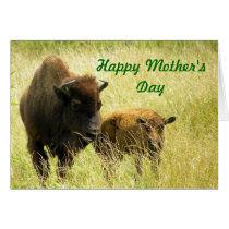 "Family" Mother's Day Card cards