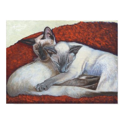 "Family Nap" Simaese Cat Art poster