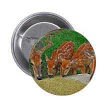 Family Night Out Buttons