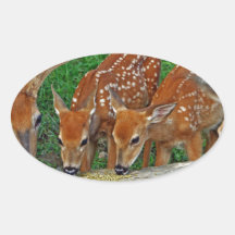 Family Night Out Sticker