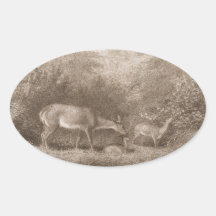 Family of Deer Oval Stickers