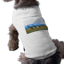 Family of Giraffes pet clothing