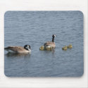Family Outing mousepads
