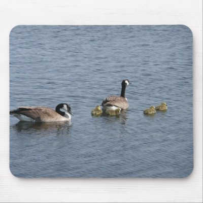 Family Outing Mouse Mats by bkang22
