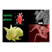 family photo posters by moatilliatta family photo posters