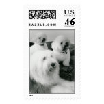 Family Picture Postage Stamps