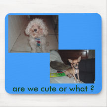 family pictures-05, family pictures-06, are we ... mousepad