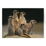 Family Portrait Card