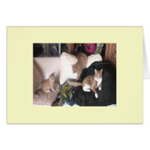 Family Purrtrait Card