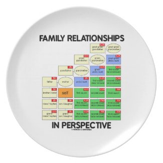 Family Relationships In Perspective (Genealogy) Plate