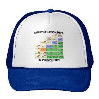 Family Relationships In Perspective (Reunion) Trucker Hats