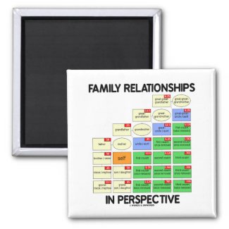 Family Relationships In Perspective (Reunion) Fridge Magnets