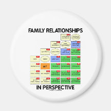 Family Relationships In Perspective (Reunion) Magnet