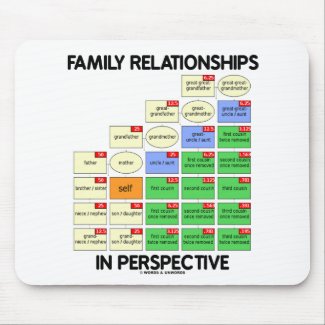Family Relationships In Perspective (Reunion) Mousepad