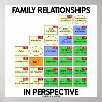 Family Relationships In Perspective (Reunion) Poster