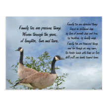 Family Ties Postcard