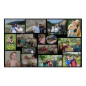 Family Vacation 2002 posters