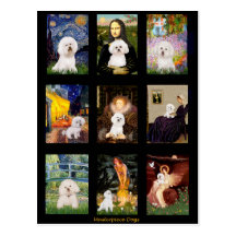 Famous Art Bichon Frise Composite Post Cards