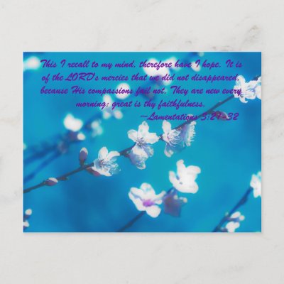 Famous Bible Verses on Famous Bible Verses Post Card From Zazzle Com