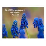 Famous Bible Verses Postcard