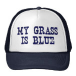 "Famous" My Grass Is Blue Hat