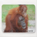Famous Orangutan Mother mousepads