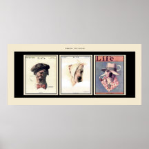 Famous Pit Bulls Posters