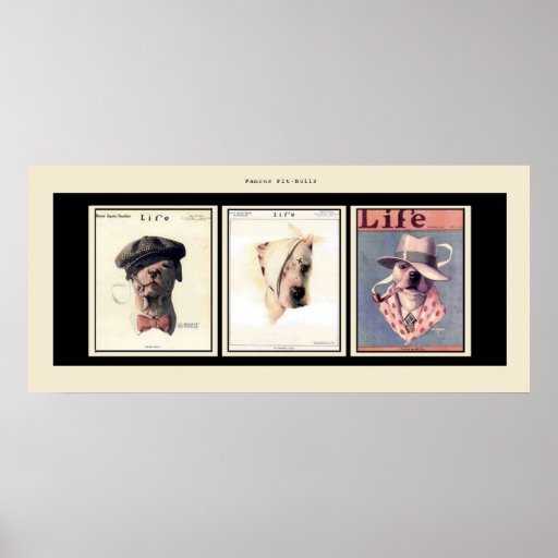 Famous Pit Bulls Posters