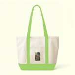 Famous Union Battle Flags - Plate 1 - bags
