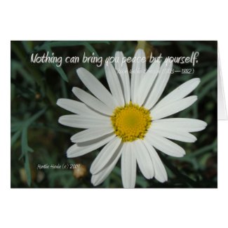 Famous Words: Peace - White Daisy Card Series (7) card