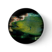 Famouse Green Moray Eel Button