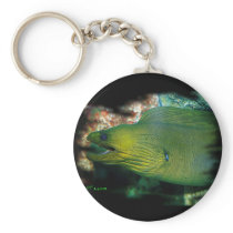 Famouse Green Moray Eel Key Chain