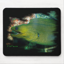 Famouse Green Moray Eel Mouse Pad
