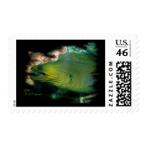 Famouse Green Moray Eel Postage Stamp
